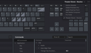 How to Change Keyboard Shortcuts in DaVinci Resolve - Write & Direct